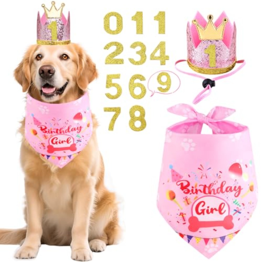 Pet X Supplies & Tack Grooming - Dog Birthday Party Supplies, Dog Birthday