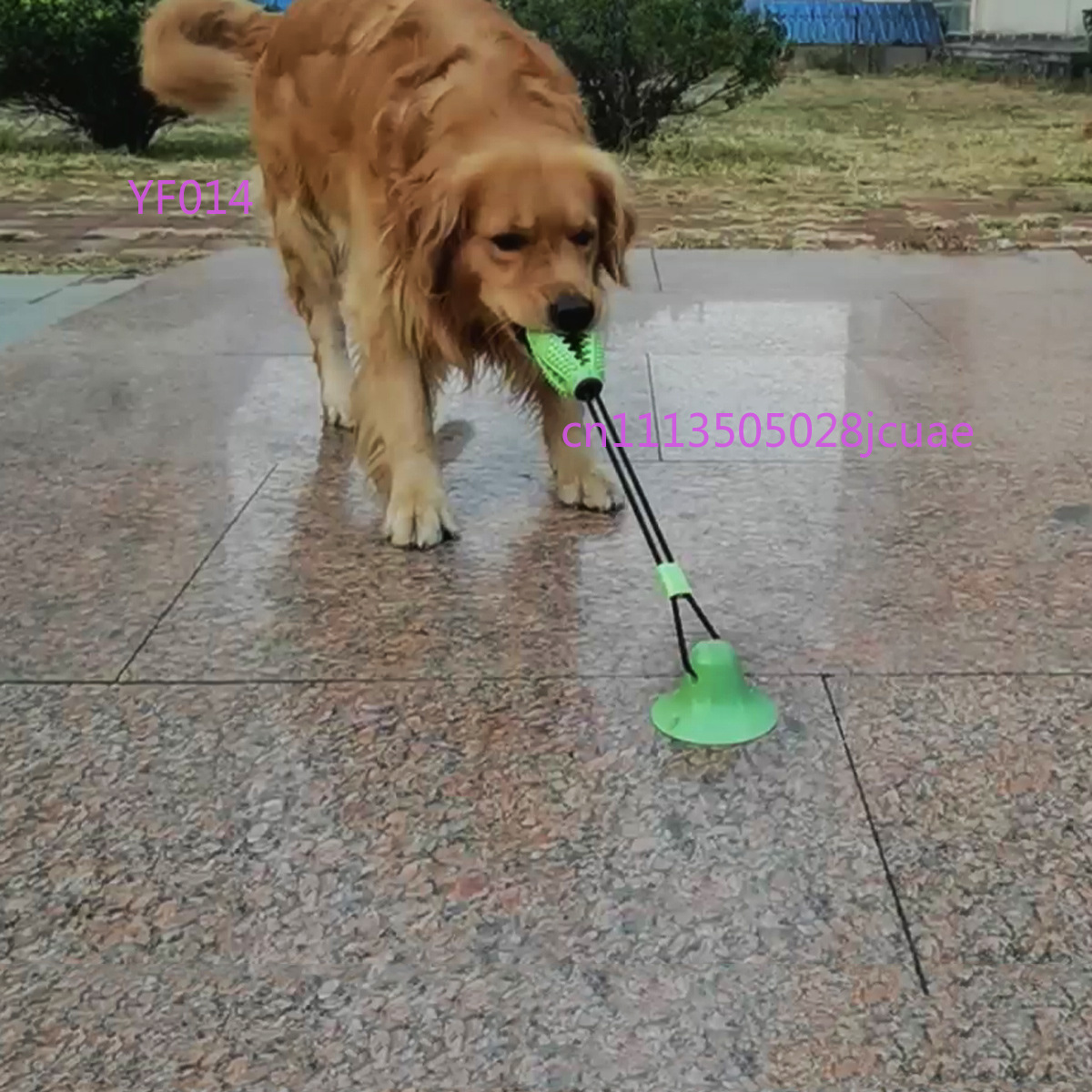 Pet Supplies Dog Food - Popular Pet Chewing Toy Bite Resistant