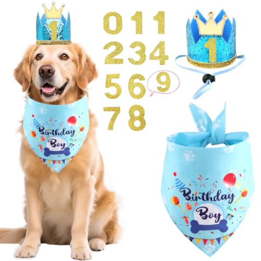 Pet X Supplies & Tack Grooming - Dog Birthday Party Supplies, Dog Birthday