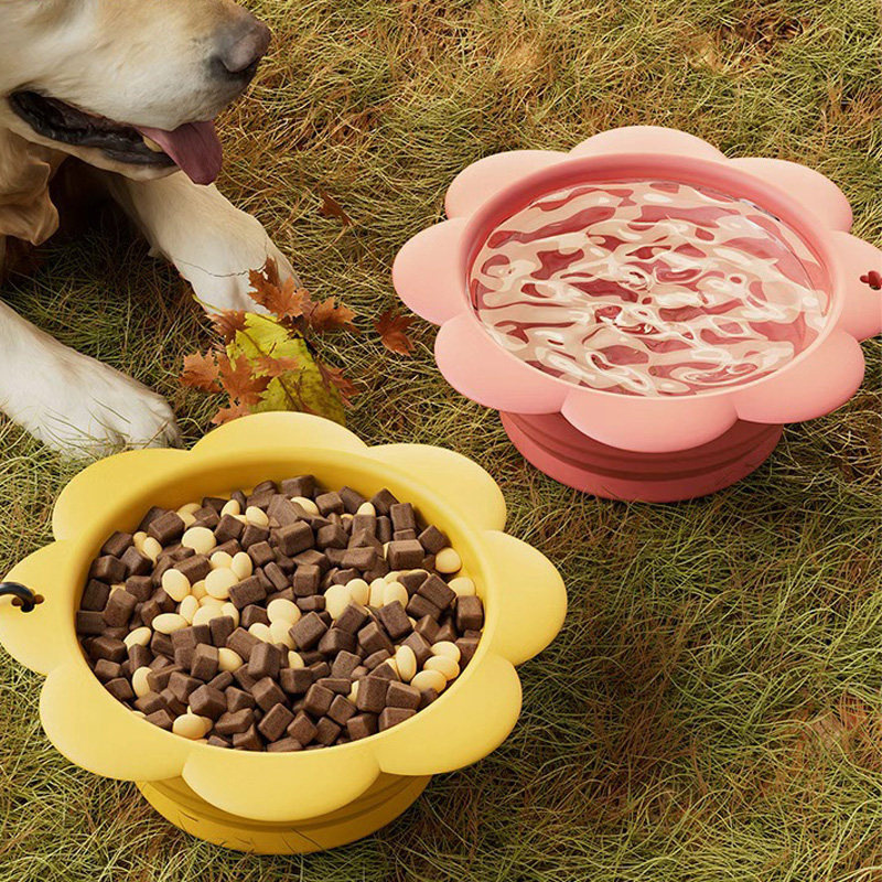 Outdoor Pet Feeding Cup 2-in-1 - Pet Supplies Dog Food review and price