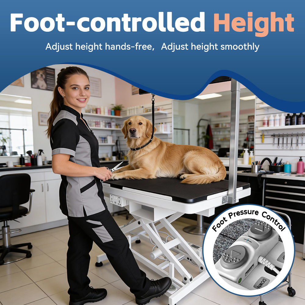 Professional Heavy Duty Adjust - Pet X Supplies & Tack Grooming review and price