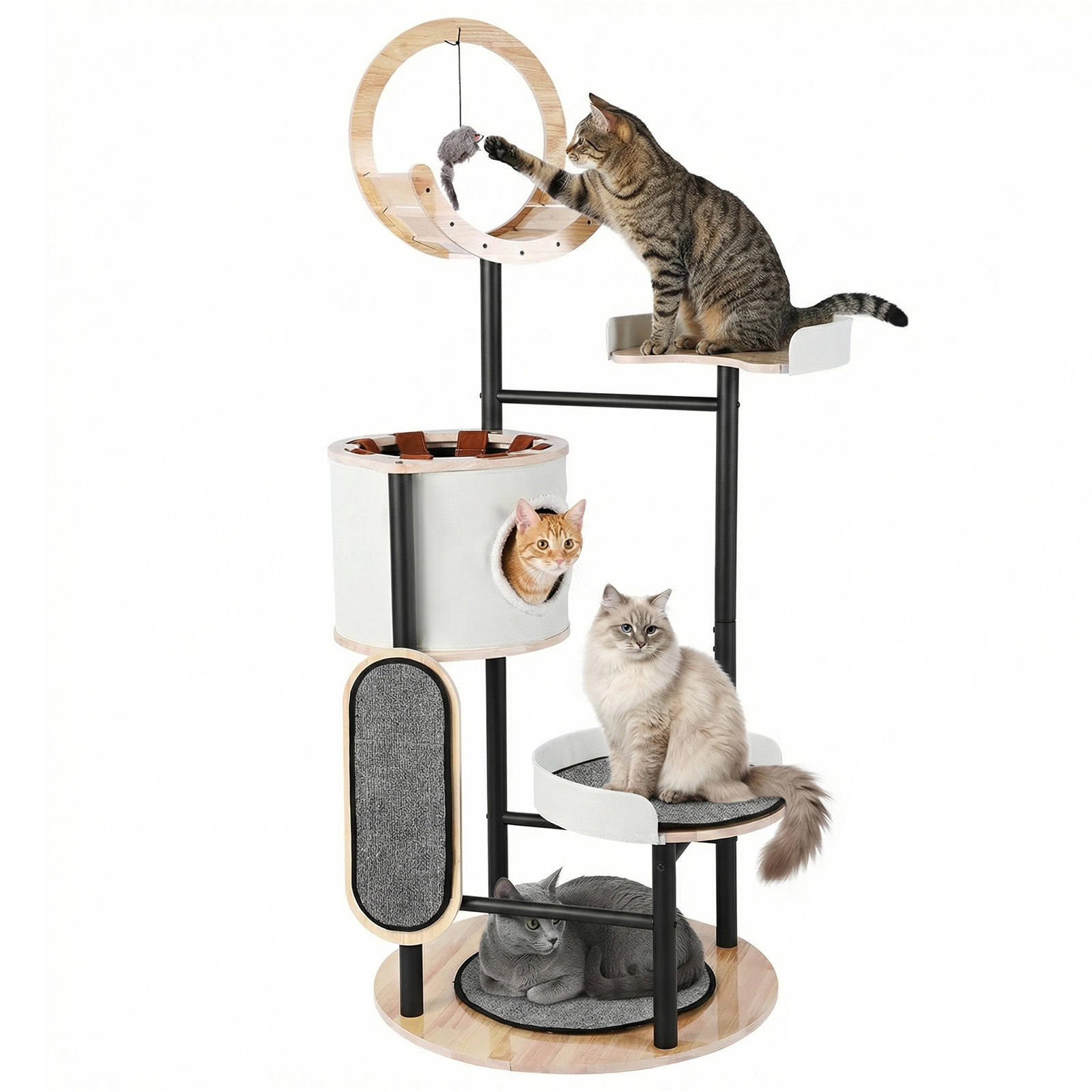 66-Inch Cat Tree with Scratchi - Pet X Supplies & Tack Grooming review and price