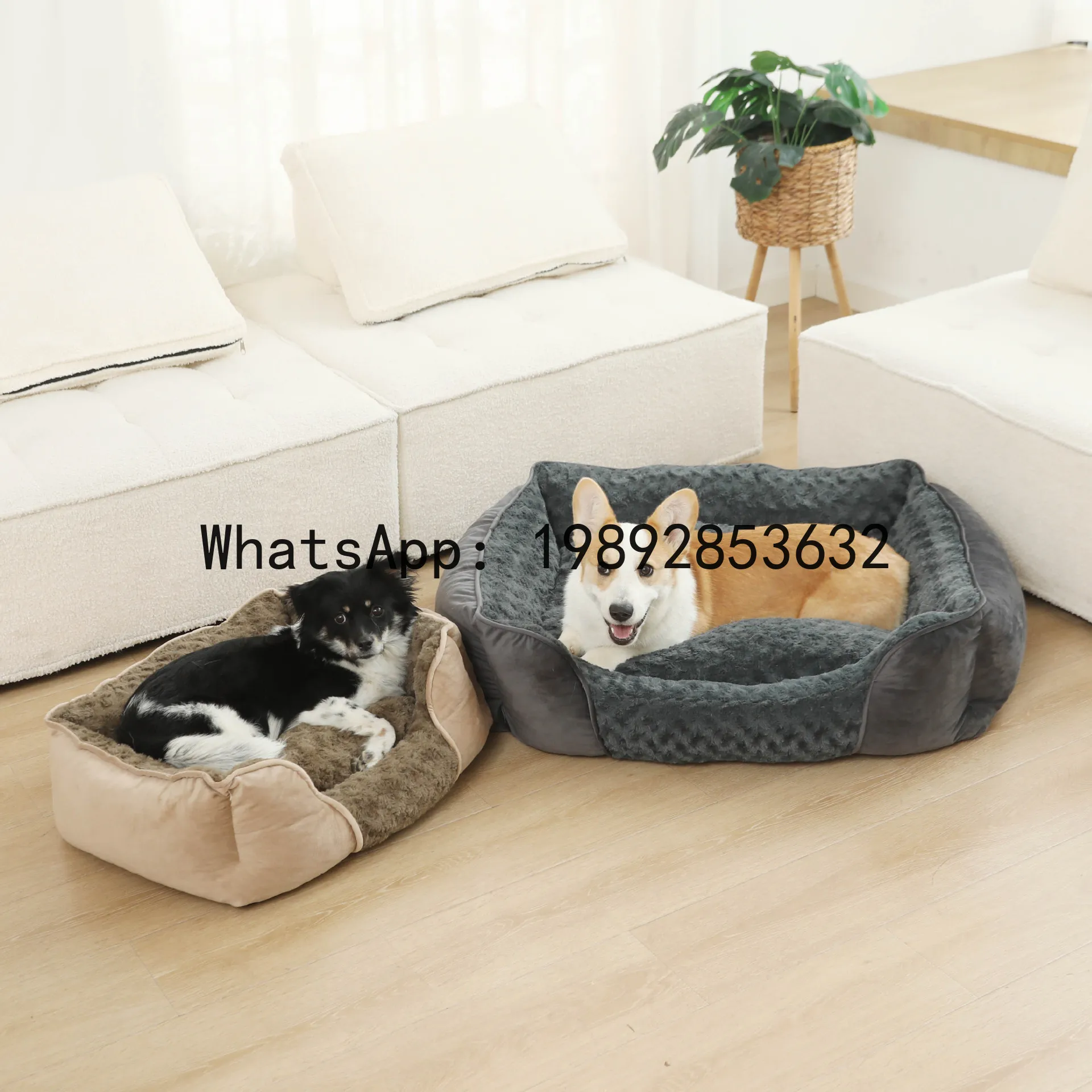 X cat house semi-enclosed dog  - Pet X Supplies & Tack Grooming review and price