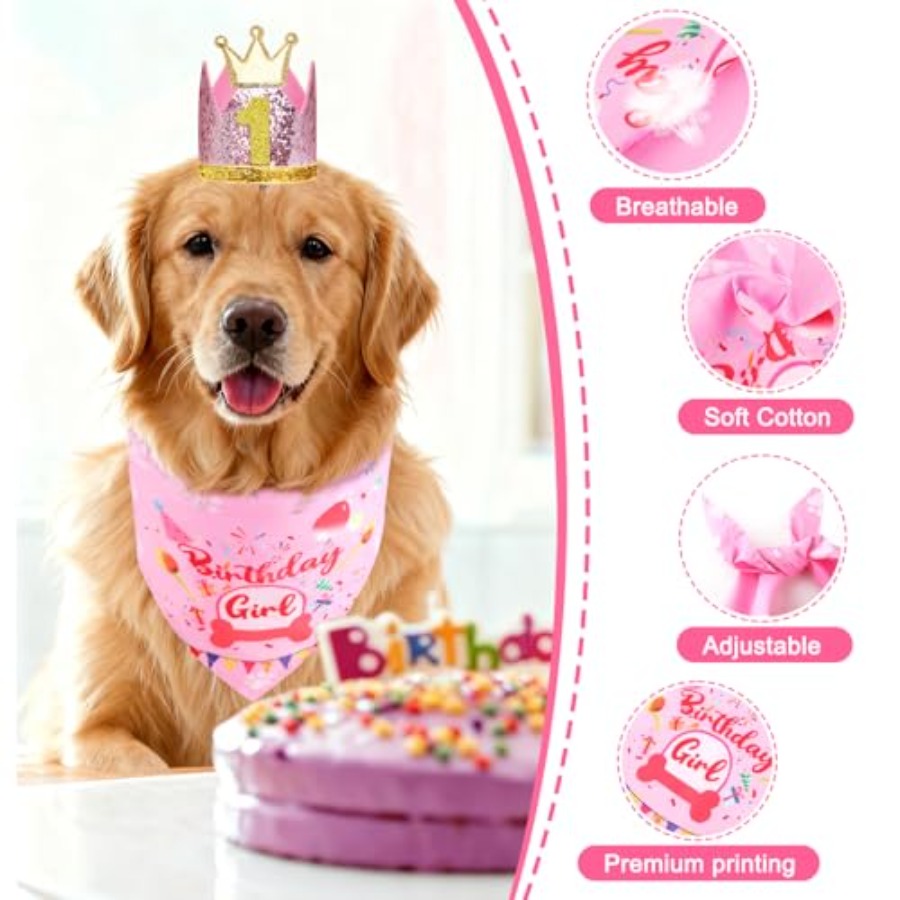 Dog Birthday Party Supplies, D - Pet X Supplies & Tack Grooming review and price