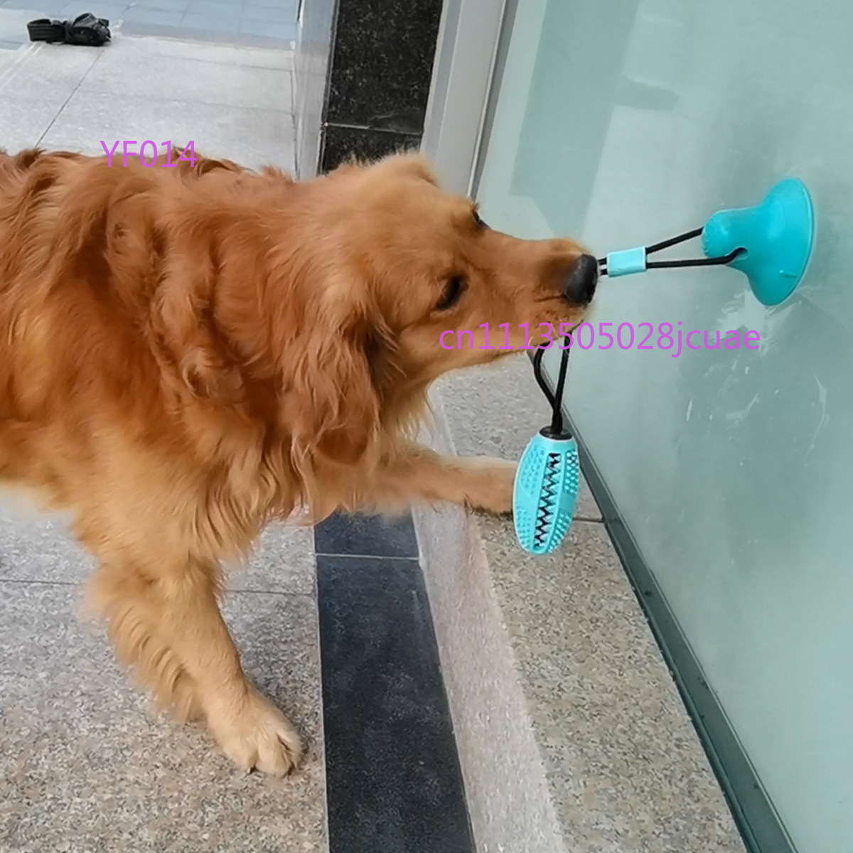 Popular Pet Chewing Toy Bite R - Pet Supplies Dog Food review and price