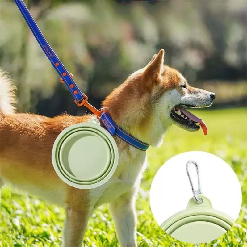 Foldable Pet Bowl, Portable Tr - Pet Supplies Dog Food review and price