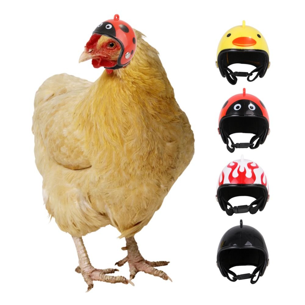 ABS Pet Supplies Funny Pet Pro - Pet X Supplies & Tack Grooming review and price