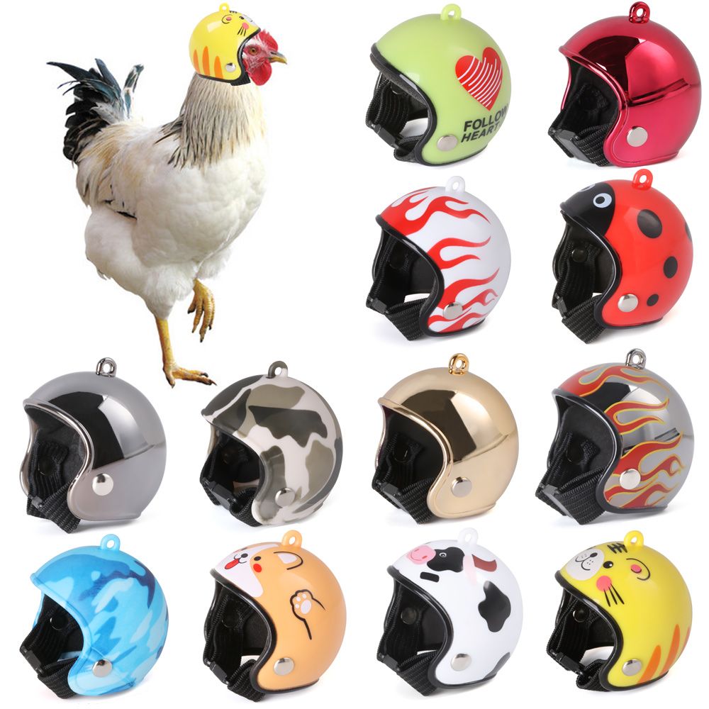 ABS Pet Supplies Funny Pet Pro - Pet X Supplies & Tack Grooming review and price
