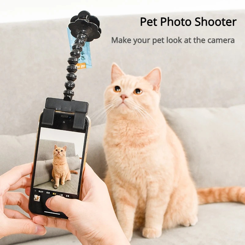 Pet Selfie Stick with Snack Ho - Pet Supplies Dog Food review and price