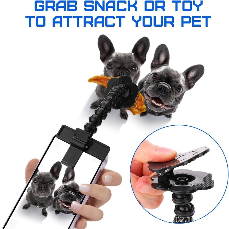 Pet Selfie Stick with Snack Ho - Pet Supplies Dog Food review and price