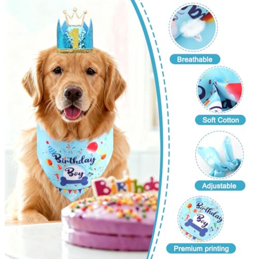 Dog Birthday Party Supplies, D - Pet X Supplies & Tack Grooming review and price