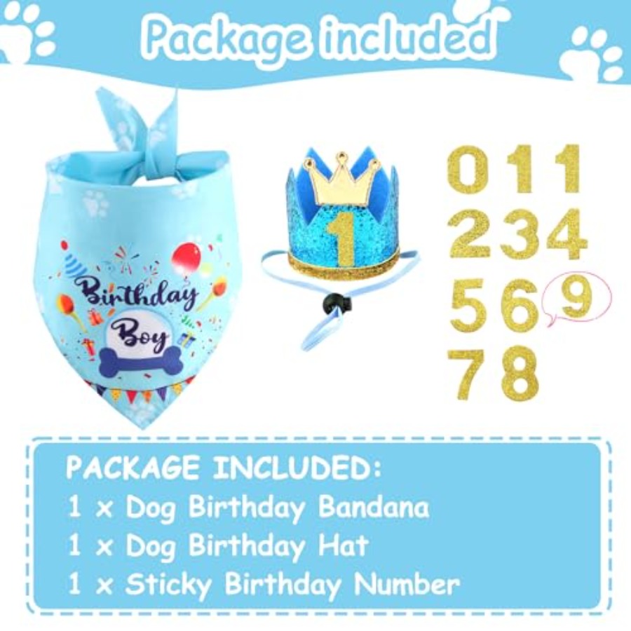 Dog Birthday Party Supplies, D - Pet X Supplies & Tack Grooming review and price